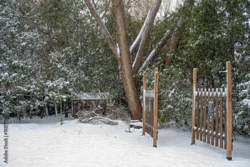 Snowy winter landscape with wooden privacy walls surrounded by conifers during a light snowfall