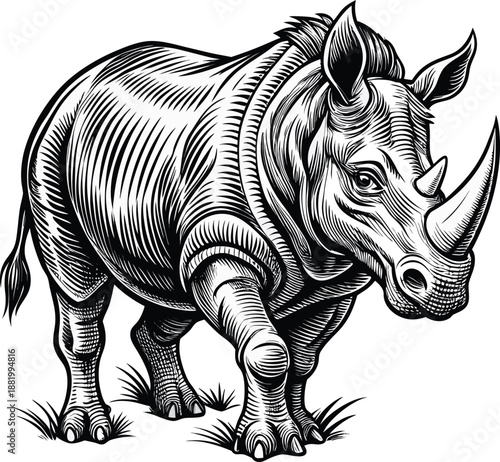 A detailed pen and ink illustration of a rhinoceros in mid-stride is depicted against a stark white background. The rhinoceros is centrally positioned, oriented towards the viewer's right, showcasing 
