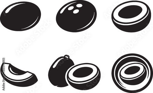 Coconut fruit icon bundle silhouette set