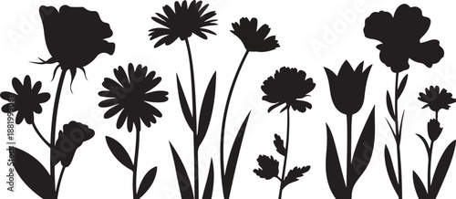 Vector black silhouettes of flowers isolated silhouette vector illustration with white background.