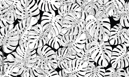 Tropical Monstera Leaf Seamless Pattern. Black and White Botanical Line Art Background. Exotic Jungle Foliage Wallpaper for Summer Fashion, Textiles, and Modern Decor.