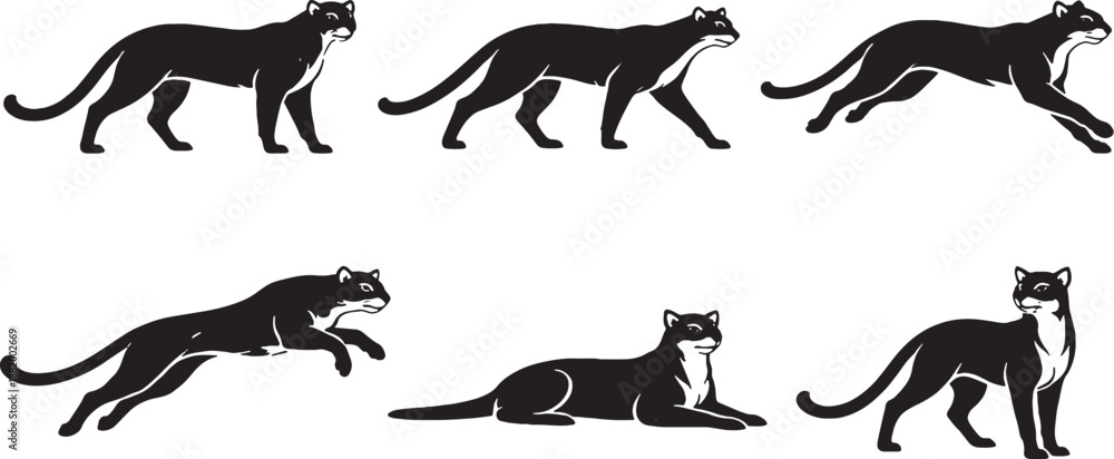 Fototapeta premium Puma Long Limb Predator Silhouette Set Black and White