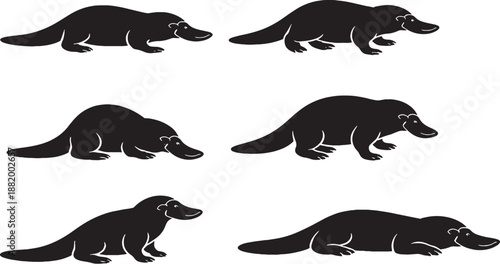 Platypus silhouette pose set flat bill black and white line art