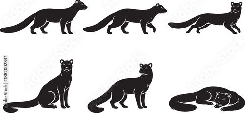 Genet silhouette pose set slender body long tail black and white line art