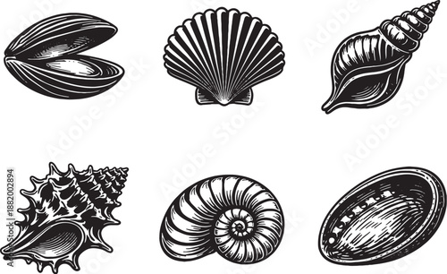 Flattened Marine Life Icons Set Black And White Line Art
