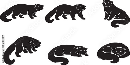 Binturong silhouette pose set long body and prehensile tail black and white line art