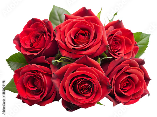 Bouquet of six red roses with green leaves on black background