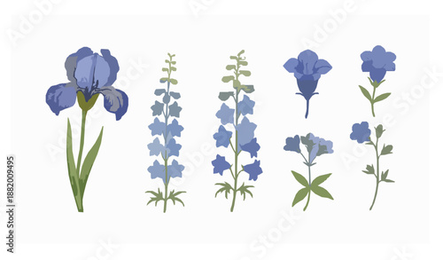 Vintage blue garden flowers botanical set isolated on white background antique style vector
