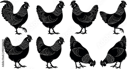Hand Drawn Black Chicken Silhouettes Vector Set Featuring Roosters and Hens in Various Poses for Farm Logo and Organic Label Design