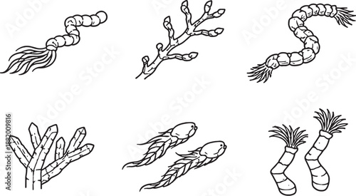 Offset Mass Marine Morphology Icons