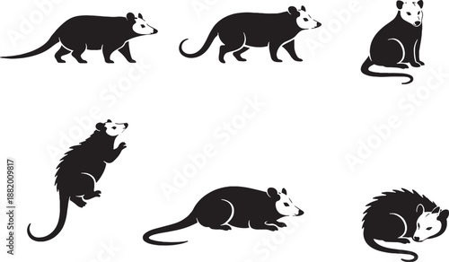 Opossum Prehensile Tail Silhouette Pose Set EPS Safe