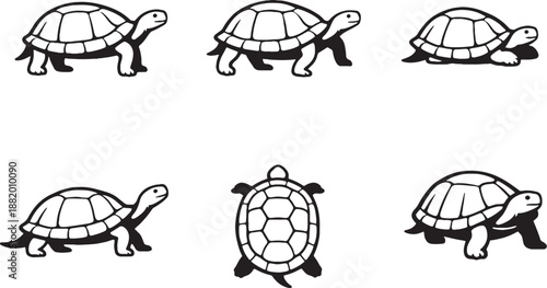 bundle turtle vector illustration 