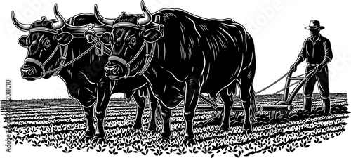 Vintage Woodcut Illustration of a Farmer Plowing Field with Pair of Oxen Traditional Agriculture Rural Farming Scene Black White Vector
