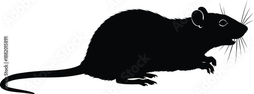 A black silhouette of a mouse on a white background