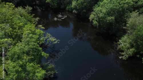 Waccamaw river in South Carolina peaceful black river and natural swamp with green forest great for fishing and boating