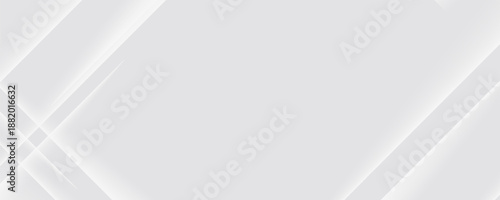 White abstract background. Silver effect texture. Light gray colour textur. Grey platinum pattern. Modern backdrop. Gradient delicate surface print. Design bg for business prints. Vector illustration