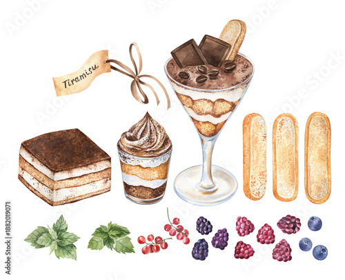Watercolor set of tiramisu dessert, ladyfingers, berries, and mint leaves. Big clip art of the detailed drawings of delicious Italian food isolated on transparent background