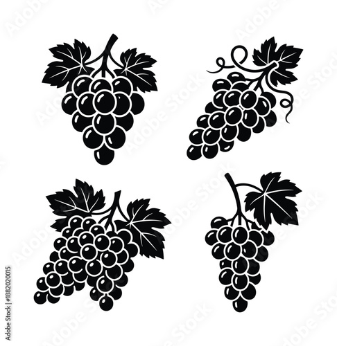Black silhouette grape bunches vector illustration. Grape design elements