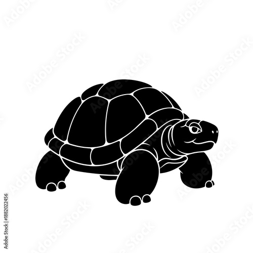 A stylized black silhouette graphic of a tortoise walking on a white background
