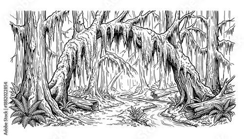 Detailed black and white drawing of a swamp scene with lush trees, hanging moss, and stream.