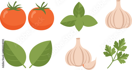 Fresh Herbs and Vegetables Collection with Tomato, Basil, Garlic and Parsley Flat Vector Illustration