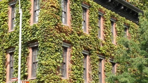 Wallpaper Mural New York City urban residential buildings architecture, Lower Manhattan West village Greenwich street corner, United States of America. Greenwich village, USA. Red brick house. Vine greenery on wall. Torontodigital.ca