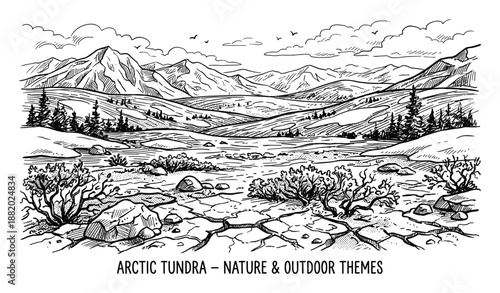 Detailed illustration of an arctic tundra landscape with mountains, trees and cracked ground, nature outdoor theme