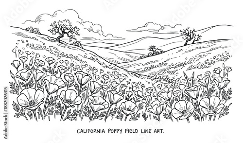 Detailed line art of a poppy field, featuring rolling hills and scattered trees, drawing with clouds above.