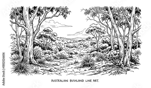 Detailed line art of Australian bushland. Trees and shrubs in black and white landscape illustration.