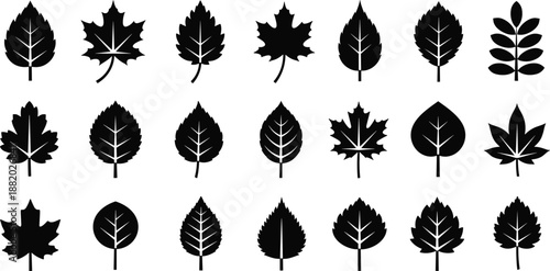 Leaf Silhouette Icon Mega Collection Featuring Diverse Tree and Plant Leaves for Nature Design, Botanical Graphics, Eco Branding, and Creative Projects