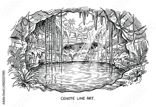 Detailed line drawing of a cenote featuring stalactites, clear water, and various plants.