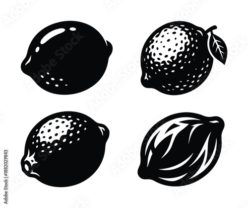 Four lemon drawings, black and white illustration set, with various shapes, and drawing style designs.