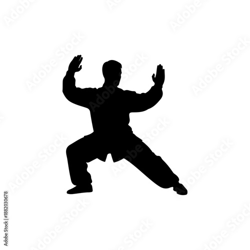 Silhouette of a person practicing martial arts in a dynamic pose.