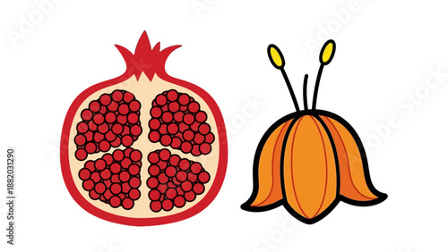 A vibrant pomegranate cut open beside a garlic bulb with sprouting green shoots, illustrated in a simple style