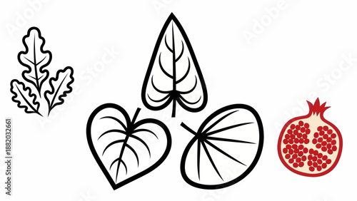 Set of pomegranate and leaves illustrations in various styles