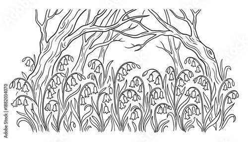 Lily of the valley illustration. Hand drawn woodland with flowers and trees, detailed line art drawing.
