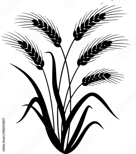 Black and White Wheat Ears Illustration.