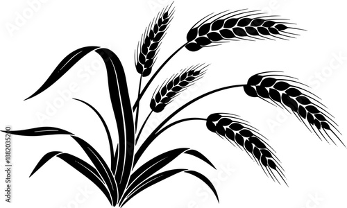 Black Silhouette of Wheat Plant.