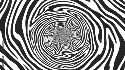 Concentric zebra stripes forming a spiral pattern, creating an optical illusion, viewed from directly above, creating a hypnotic illustration