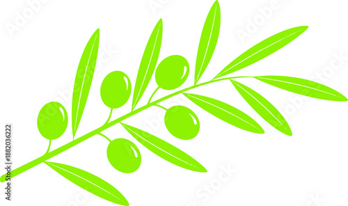 Olive Branch with Green Olives Illustration.