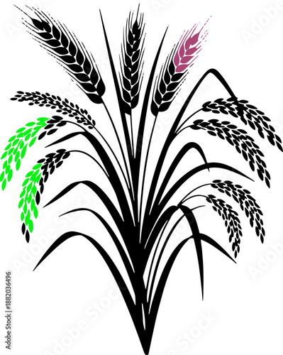Wheat Plant with Colored Ears Illustration.