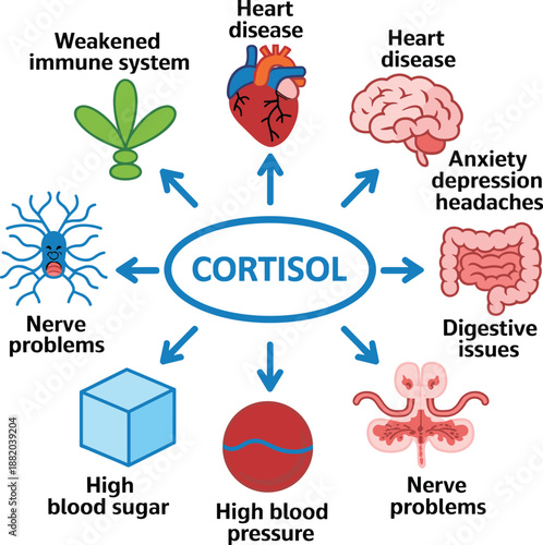 Cortisol hormone effects infographic illustrating health problems including heart disease, anxiety, digestive issues, high blood pressure, blood sugar imbalance, nerve damage,