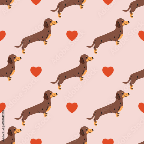 Valentines day Dachshunds seamless pattern with heart symbol. Loving Dachshunds flat illustration. Cute cartoon sausage dogs. 