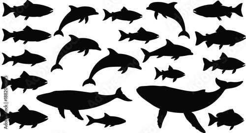 Marine animals silhouette collection with dolphins, whales and fish, ocean wildlife set, black sea life illustration