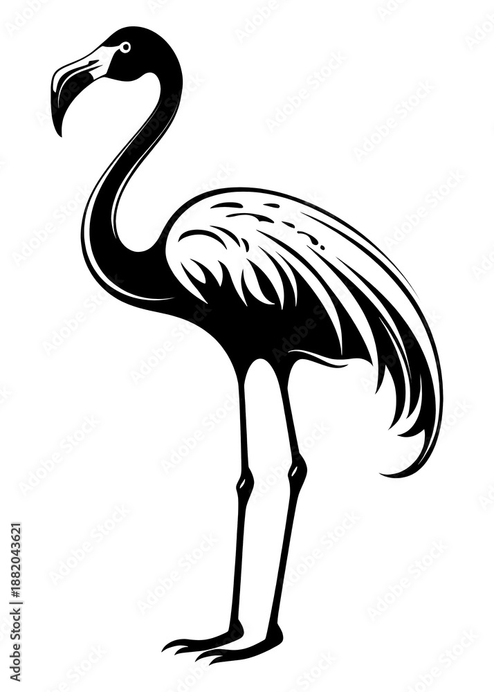 Obraz premium PNG Flamingo animal bird monochrome.