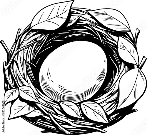 Bird nest with a single egg inside surrounded by leaves and twigs nature wildlife nest protection concept