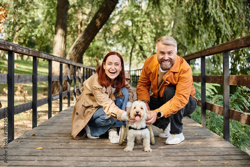 Slika na platnu Happy couple enjoying springtime stroll with their disabled dog in a serene park