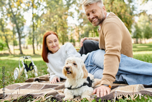 Konstfotografi Couple cherishes joyful moments with their disabled dog in a vibrant spring park