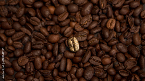 Fényképezés Golden Coffee Bean as Symbol of Luxury and Rising Value