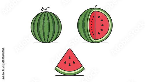 Delicious Watermelon Fruit Whole Sliced and Wedge Illustrations.